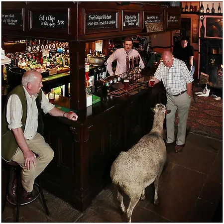 The Old Hall Inn 4*